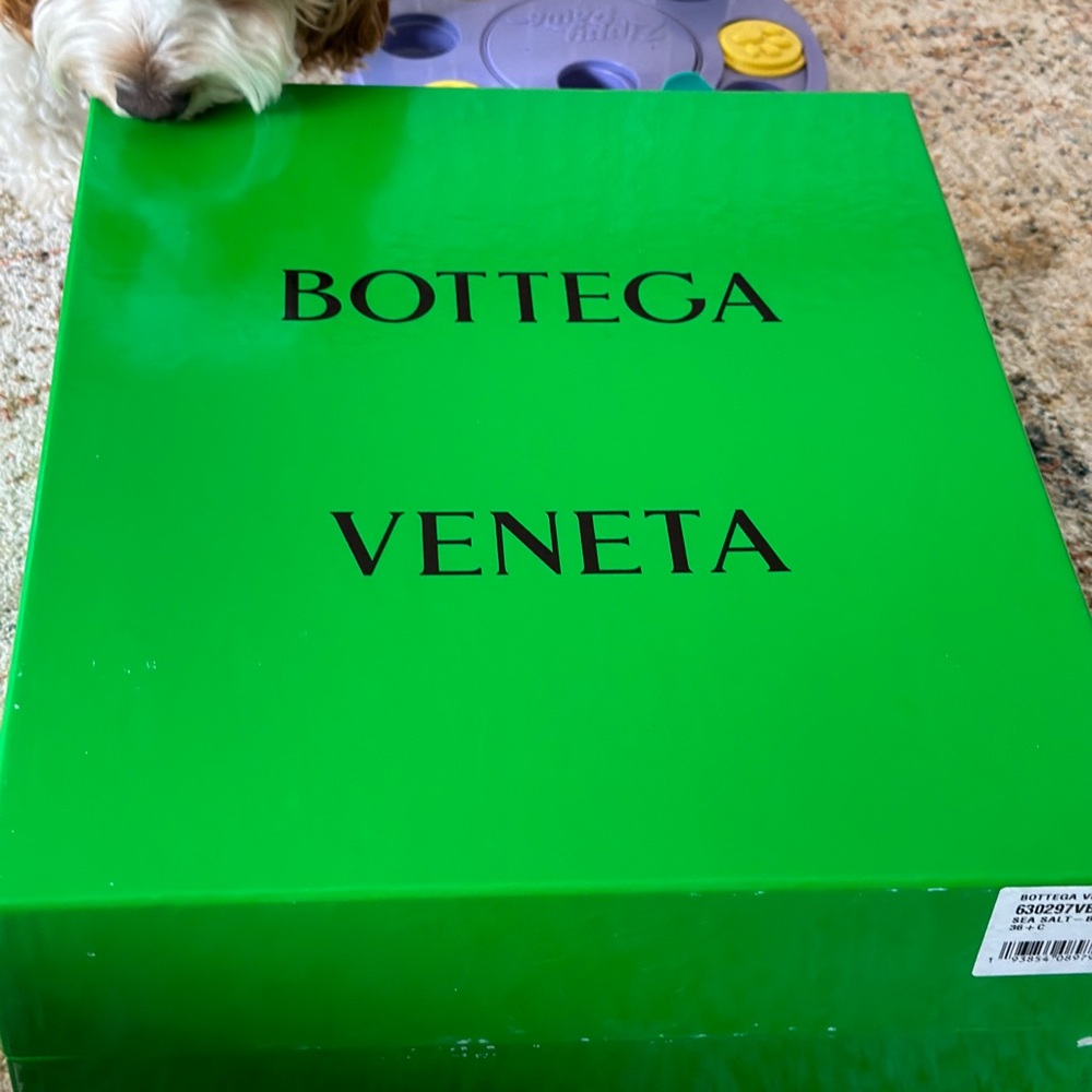 Bottega Veneta Boots